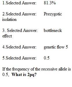 Quiz 5